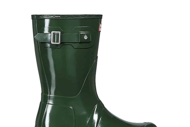 Hunter WFS1000RGL_HGR