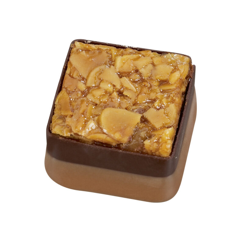 Florentine - hazelnut praline with Florentine top 18g