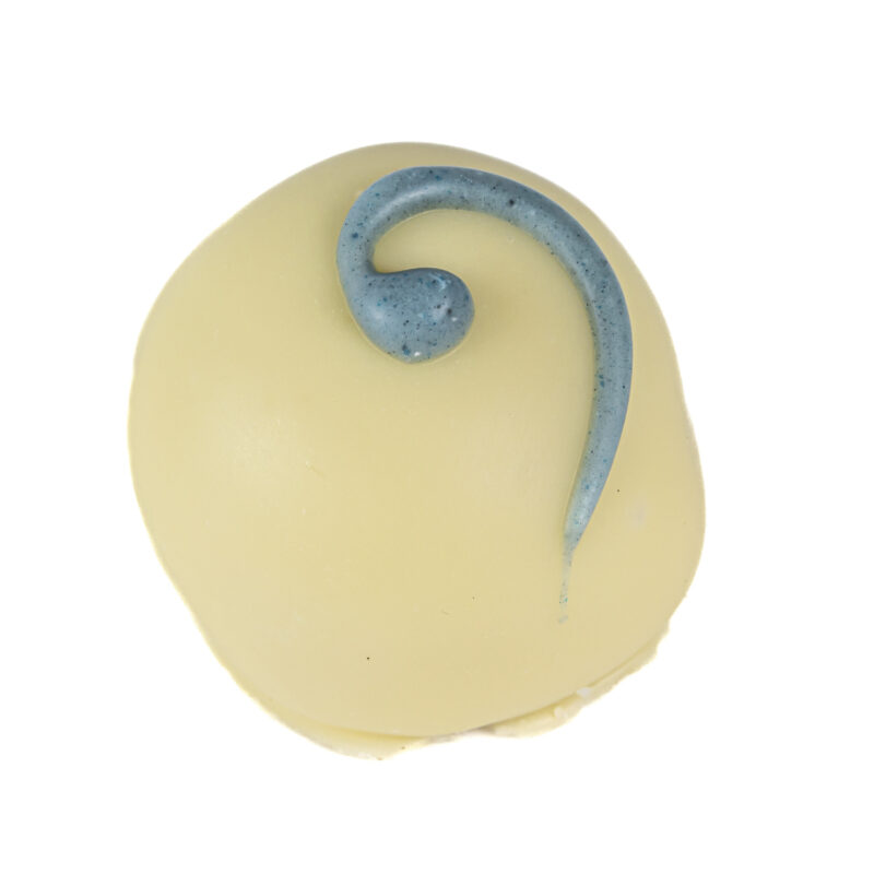 Blueberry & balsamic vinegar - blueberry & balsamic vinegar in white chocolate 14g