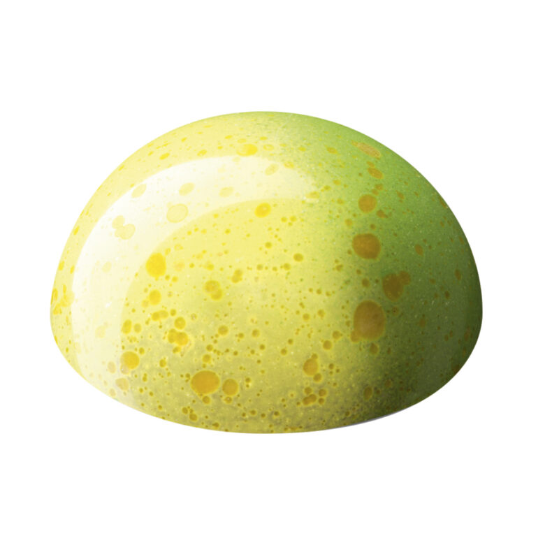 Midi Picasso passion vanilla – fresh passion filling with the richness of vanilla in dark chocolate