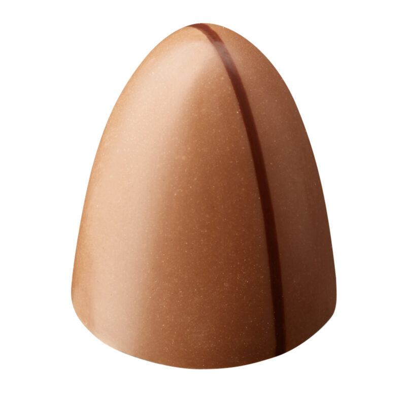 Salty peanut - peanut crunch with caramel and sea salt in milk chocolate 14g - 60 pcs