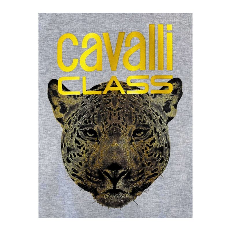 Cavalli Class QXT67ZCF062_05014GreyMelange - Image 4