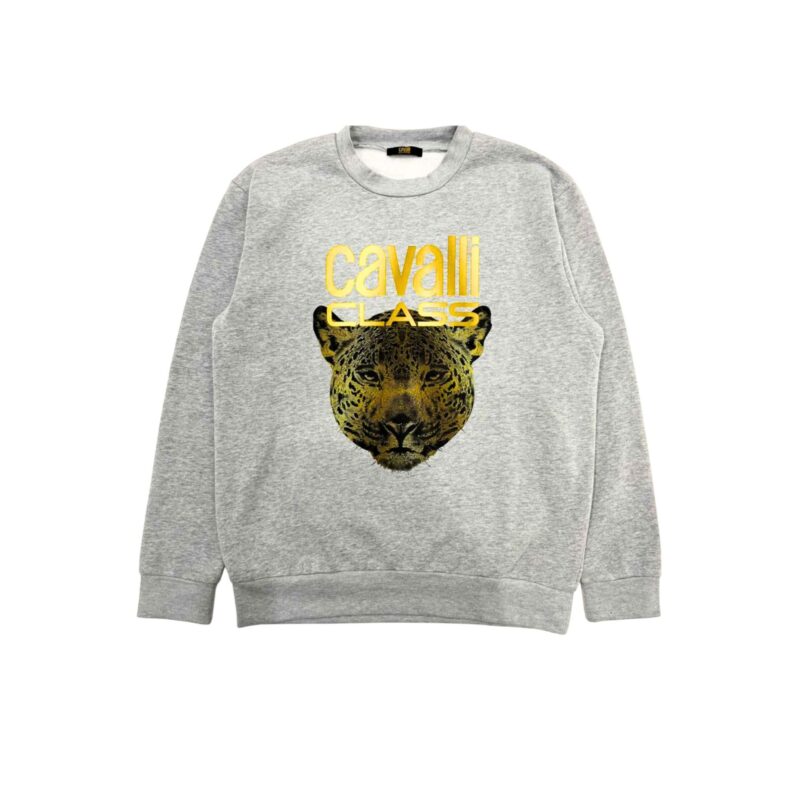 Cavalli Class QXT66BCF062_05014GreyMelange