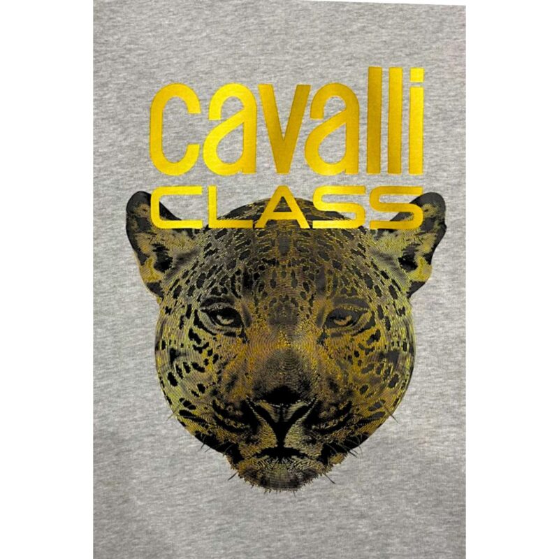 Cavalli Class QXT66BCF062_05014GreyMelange - Image 4