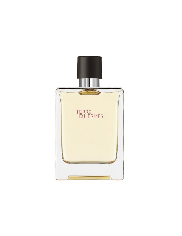 Hermes Terre D’hermes Eau De Toilette Spray 100ml