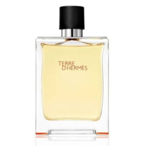 Terre D'Hermes Eau De Toilette Spray