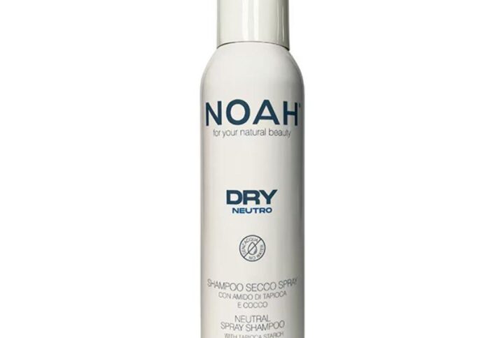Noah Dry Champu Seco Neutral