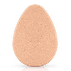 Beter Make Up Foam Sponge 1 Units