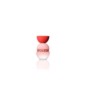 El Ganso Fun y Chic Edp 100 Spray