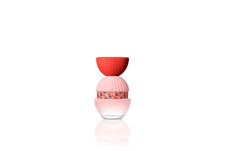 El Ganso Fun y Chic Edp 100 Spray