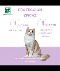 Neovital Cats Insect Repellent Pipettes 2 Units