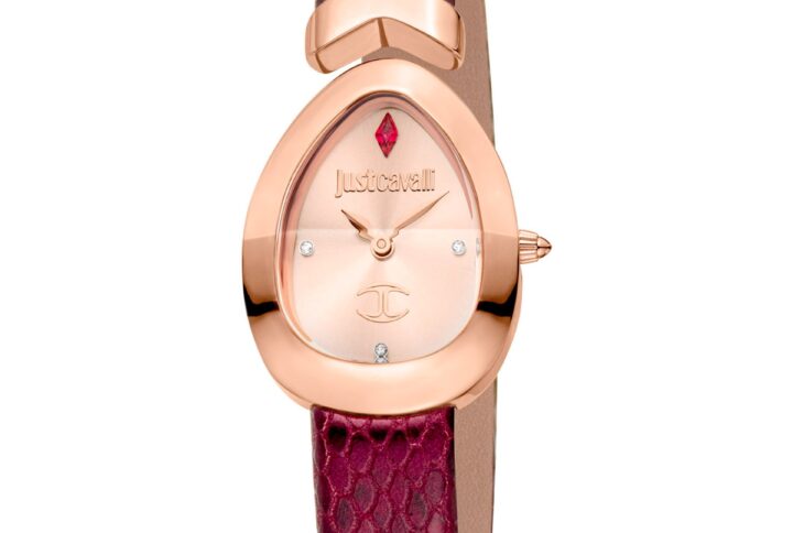 Roberto Cavalli X093