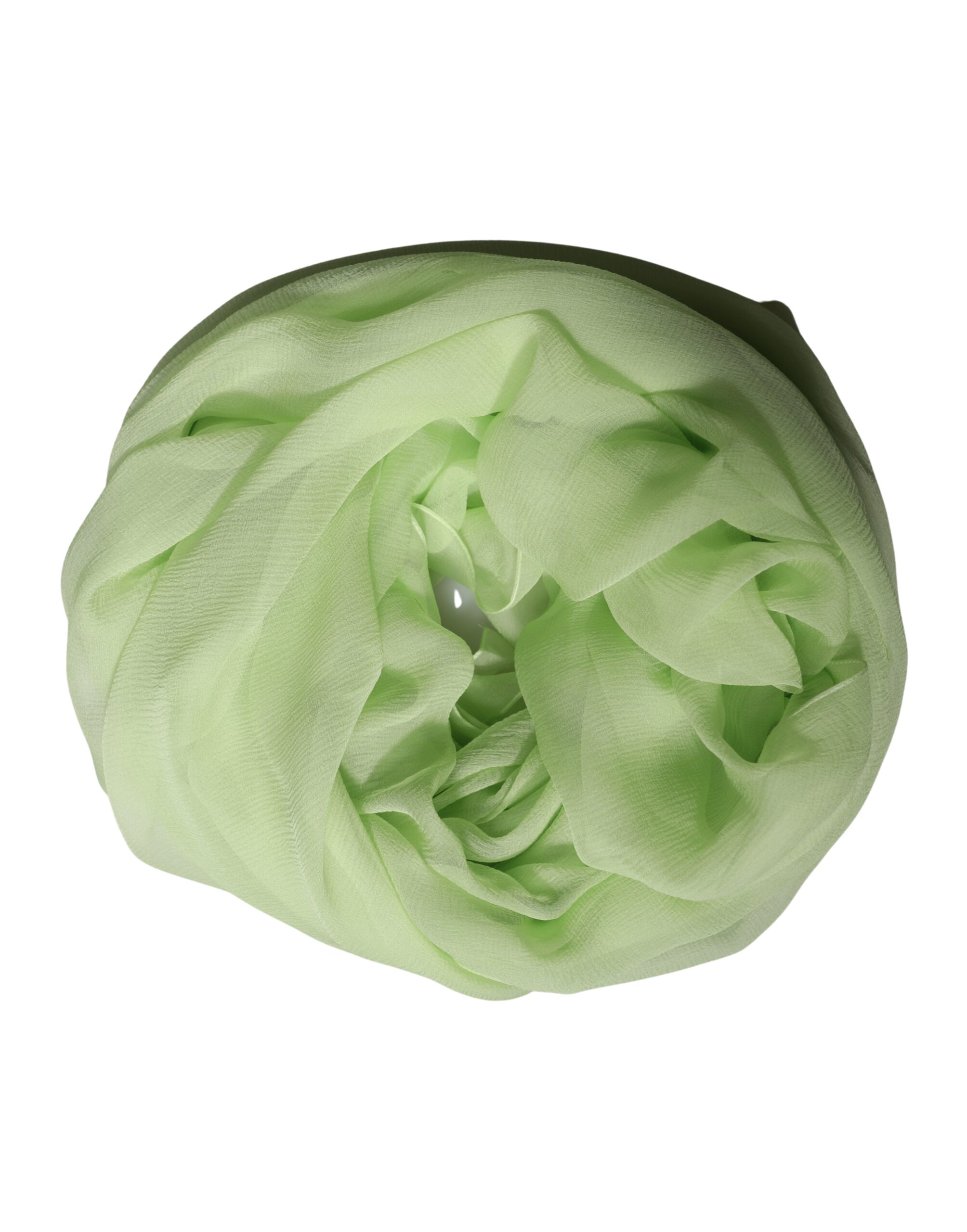 10335363.jpeg
