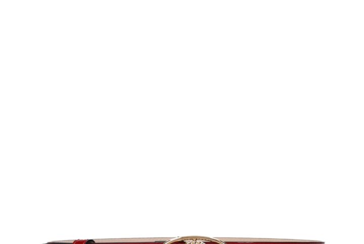 Red Leather Regular Belt