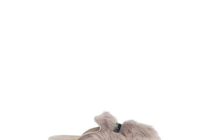 Gray Lamb Ovis Aries Mules