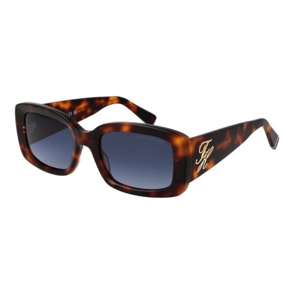 Brown Acetate Sunglasses