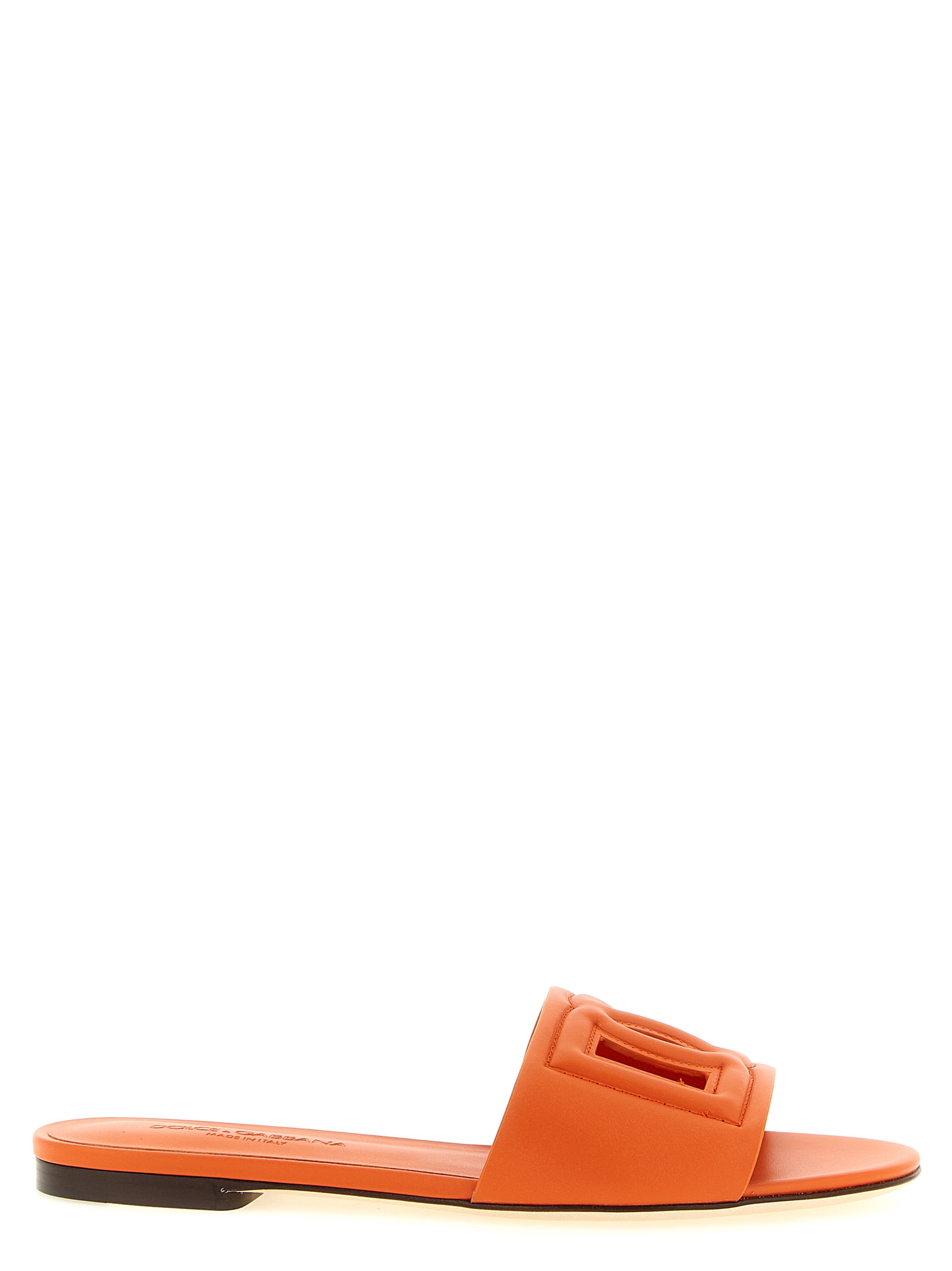 10884789.jpeg