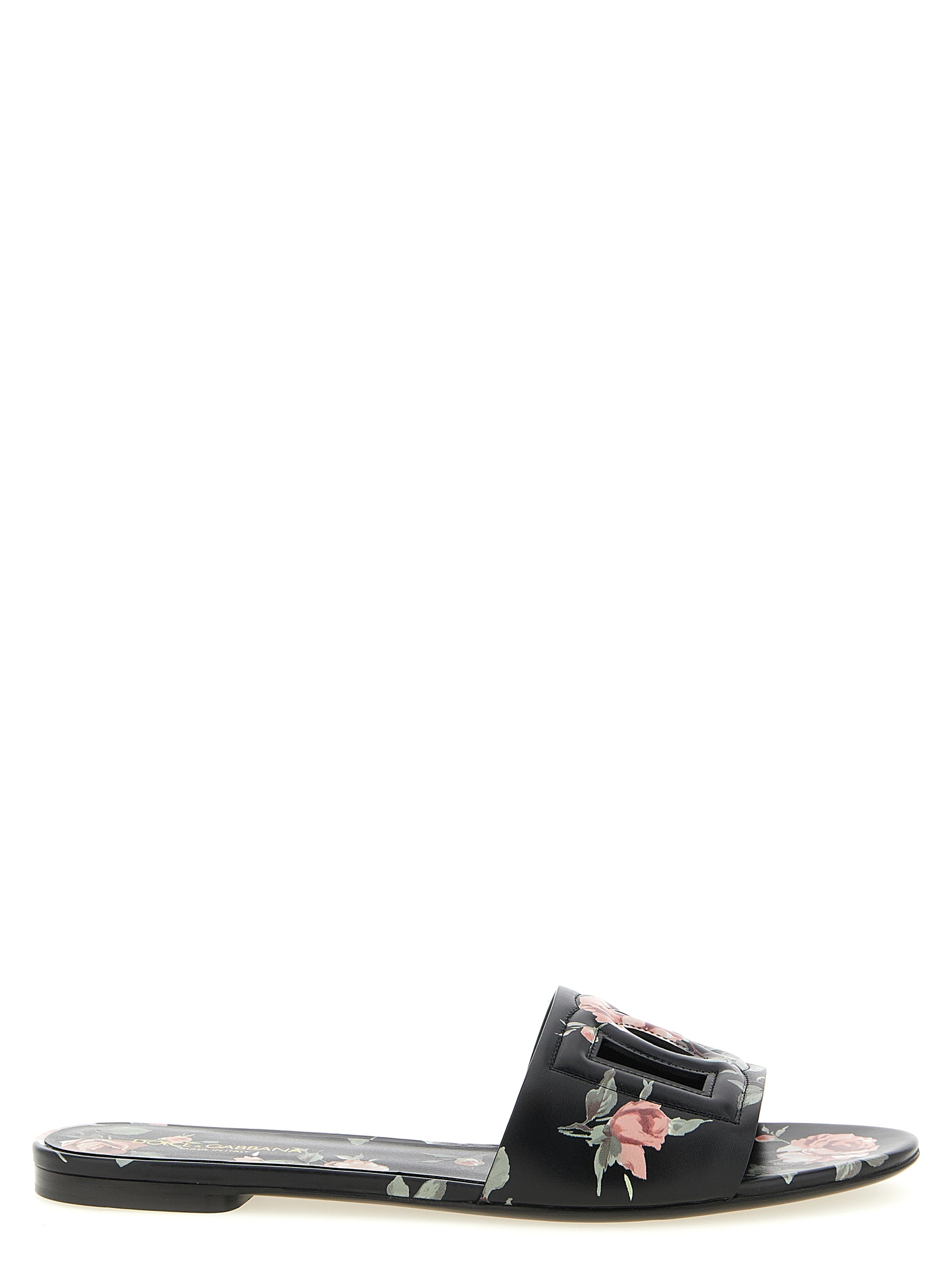 10901268.jpeg