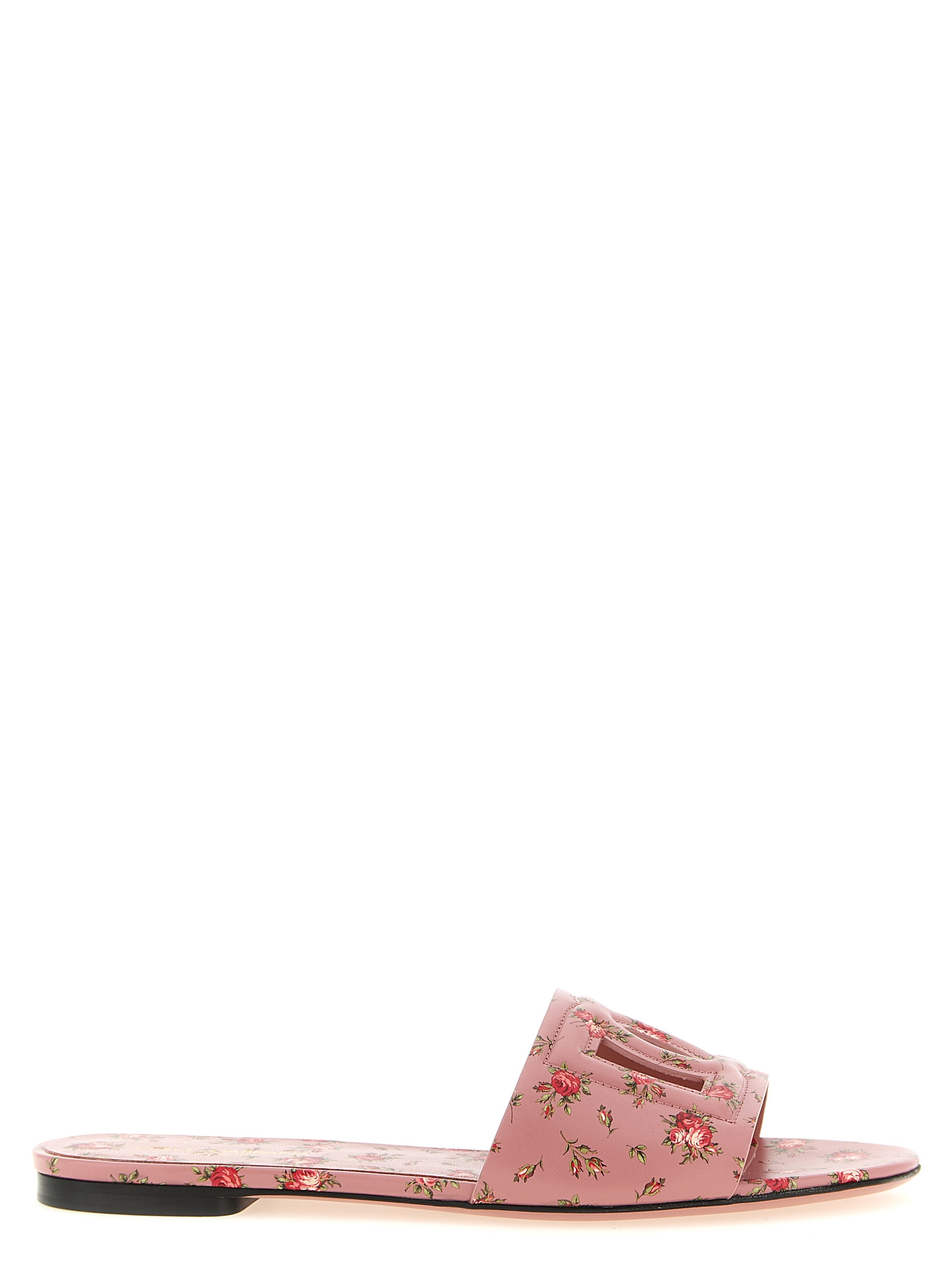10905698.jpeg