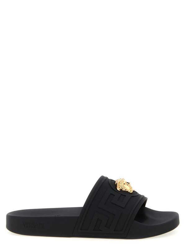 Black Glass Slides