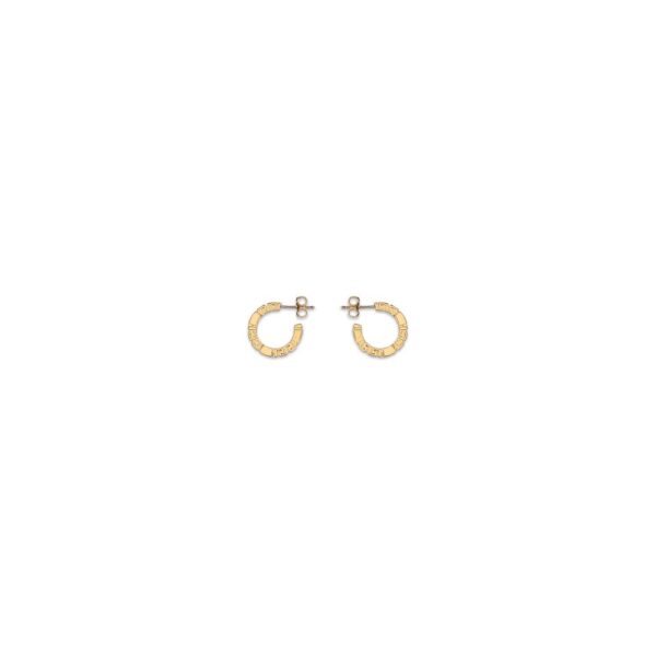 Gold Brass Earrings