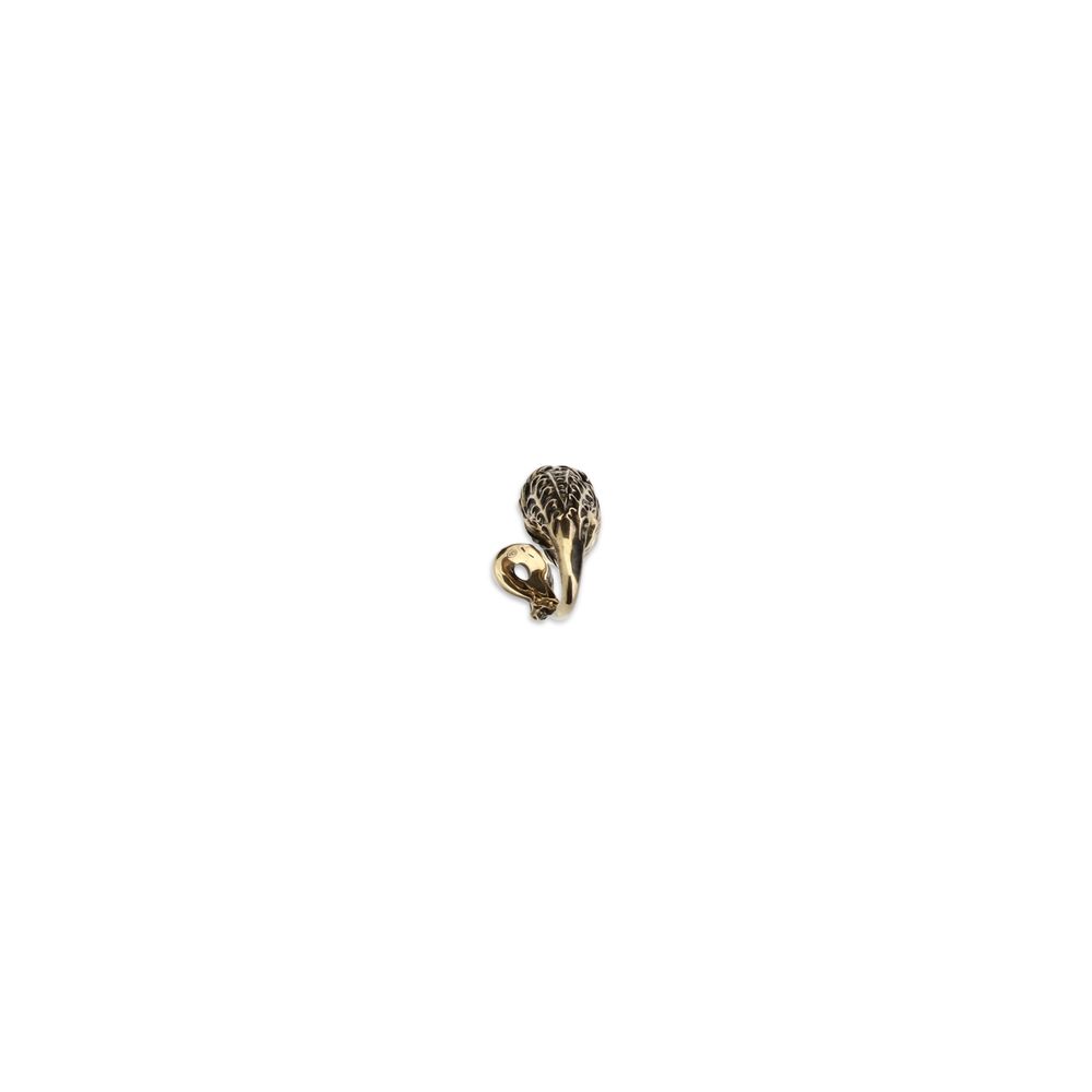 11070065.jpeg