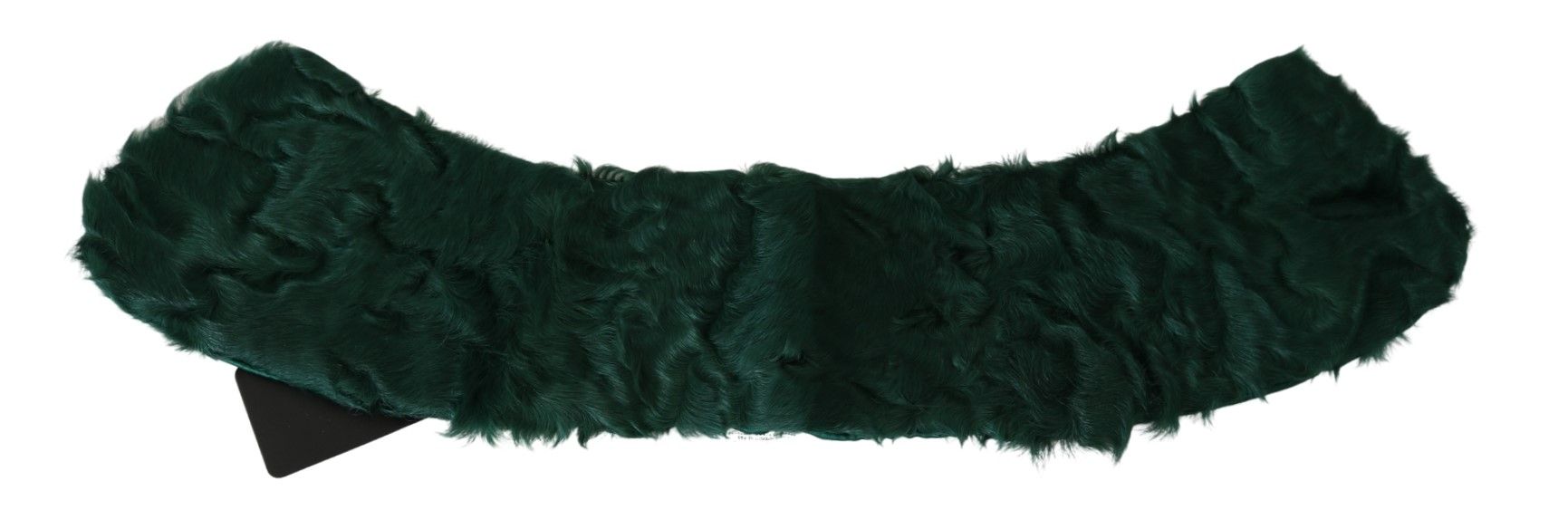 1197634.jpg