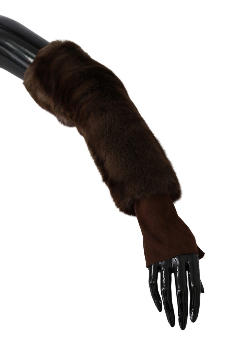 1204839.jpg
