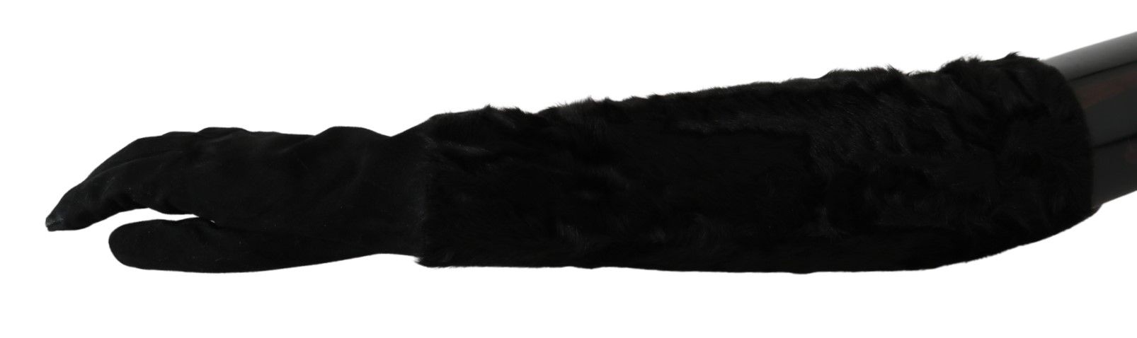 1204967.jpg