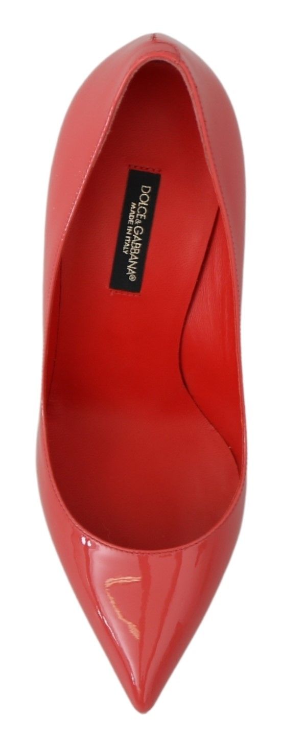 1454419.jpg