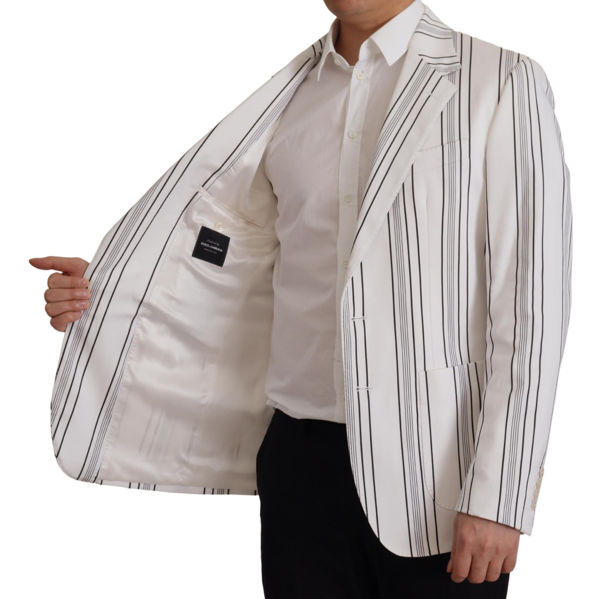 3113221.jpg