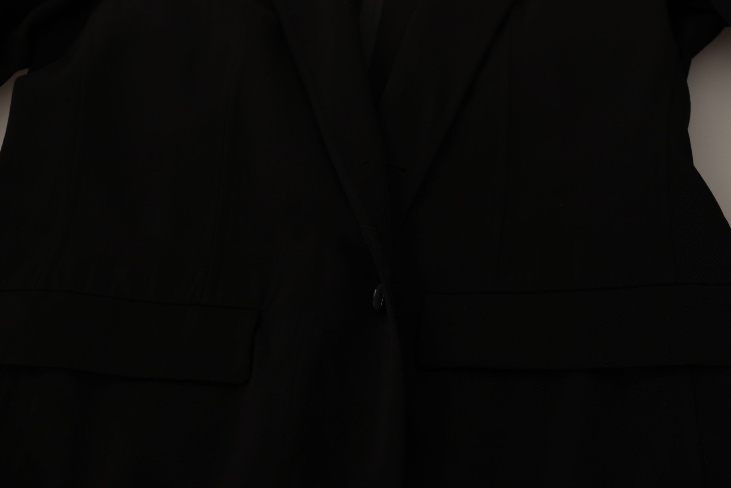 3113744.jpg