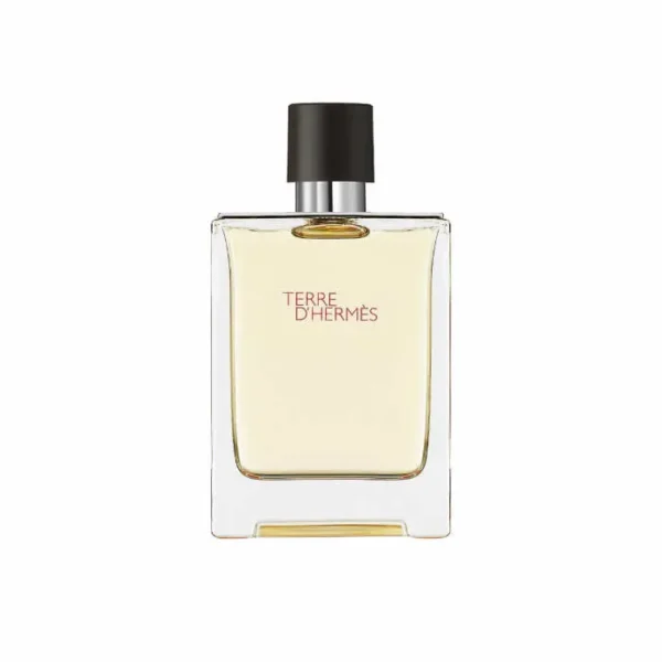 Hermes Terre D’Hermes Eau De Toilette Spray 100ml
