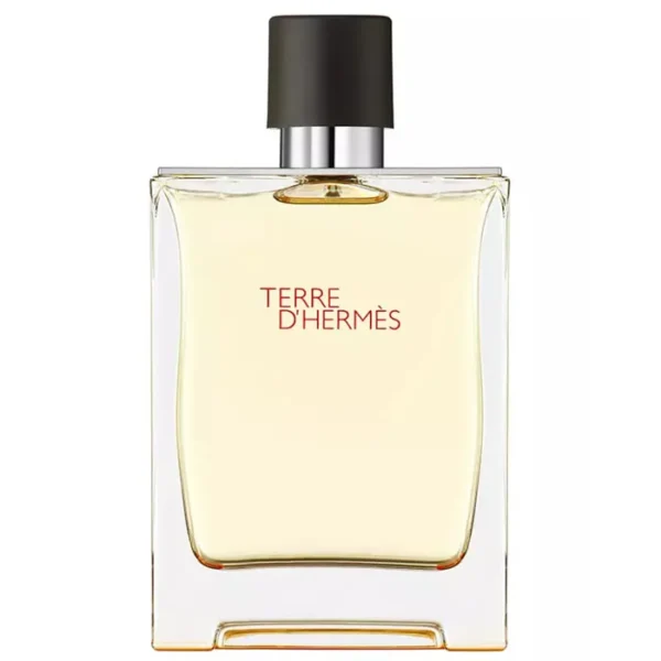 Hermes Terre D’hermes Eau De Toilette Spray 200ml