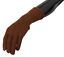 3964034.jpg