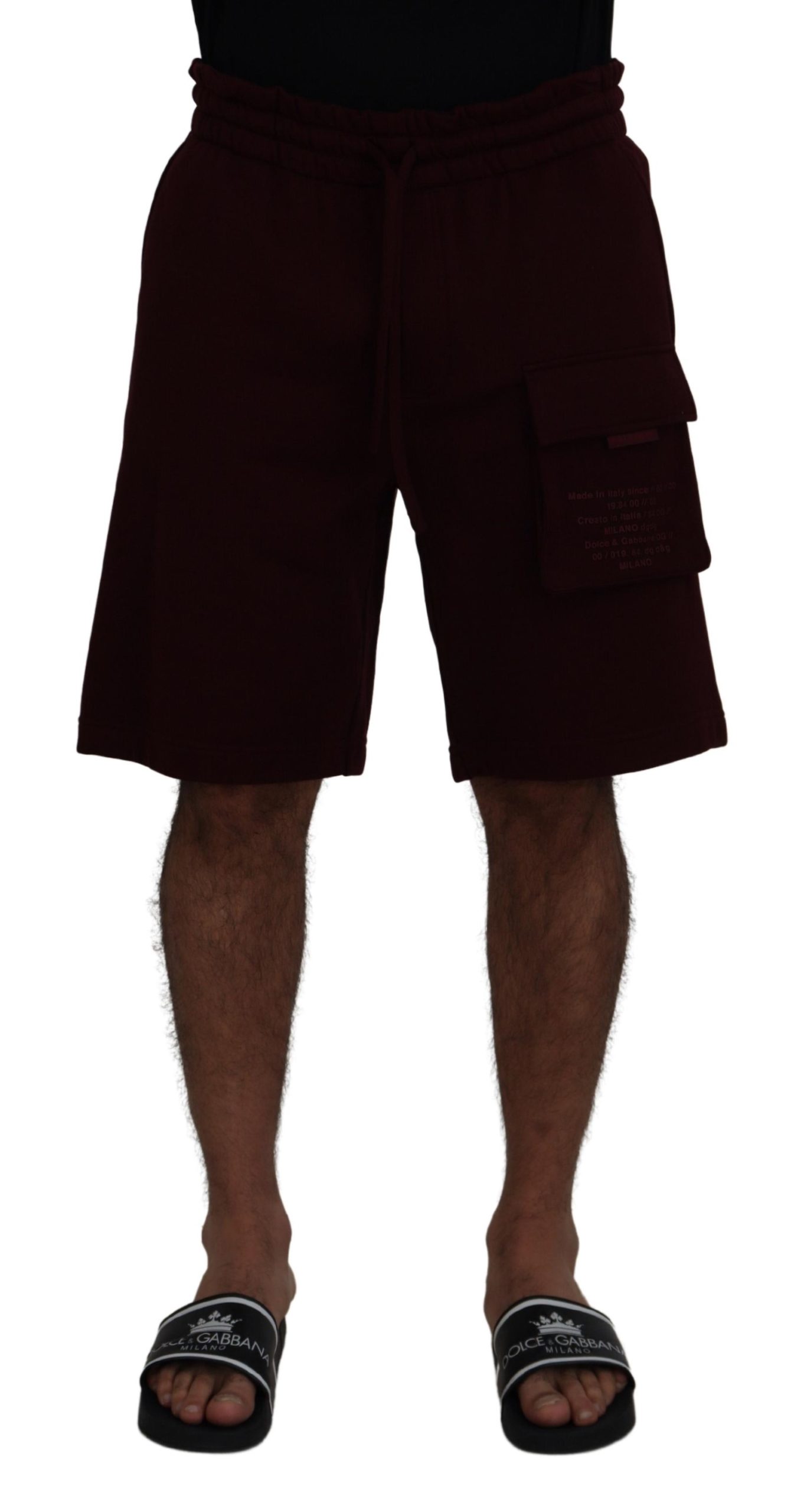 4122179.jpg