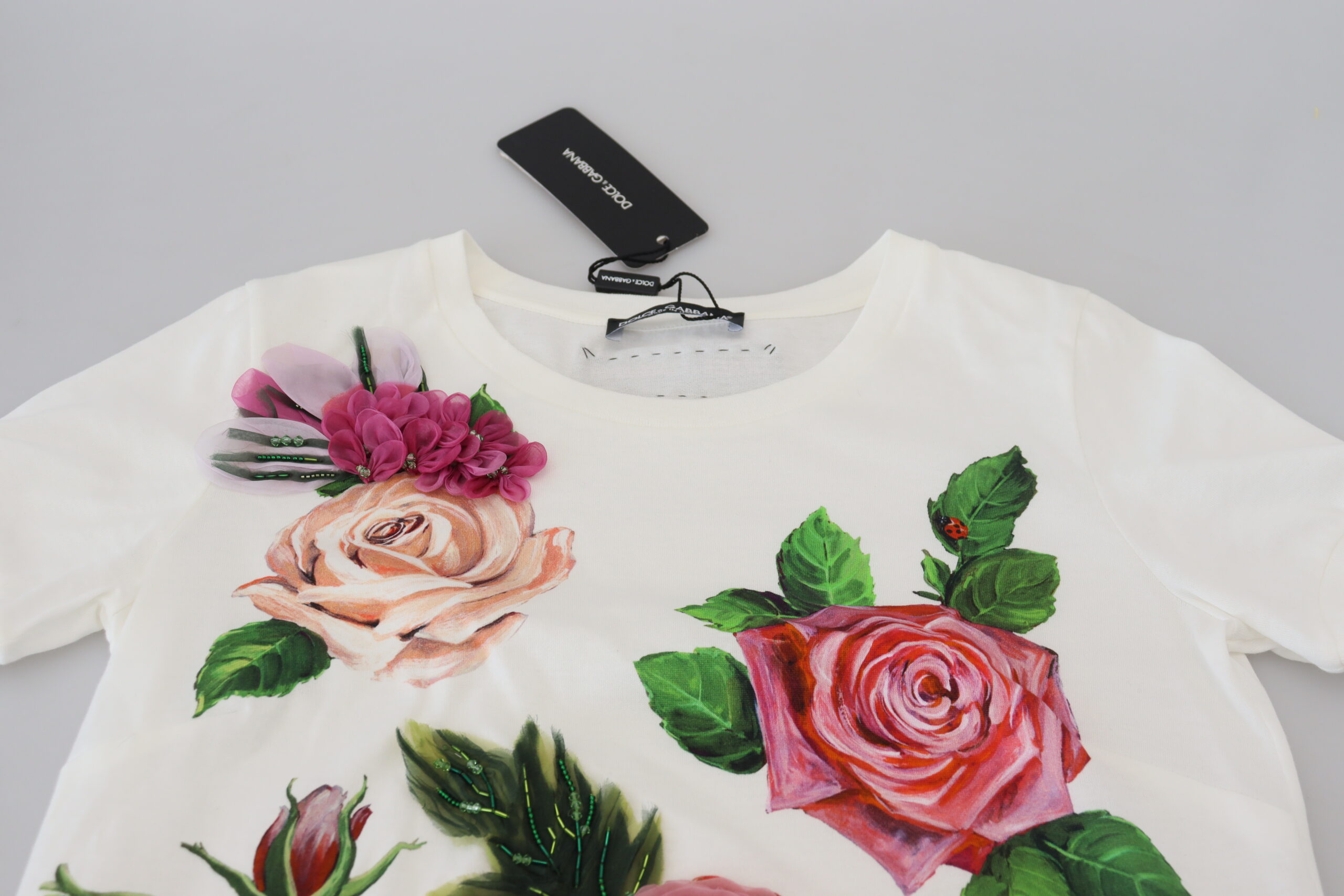 4226777.jpg
