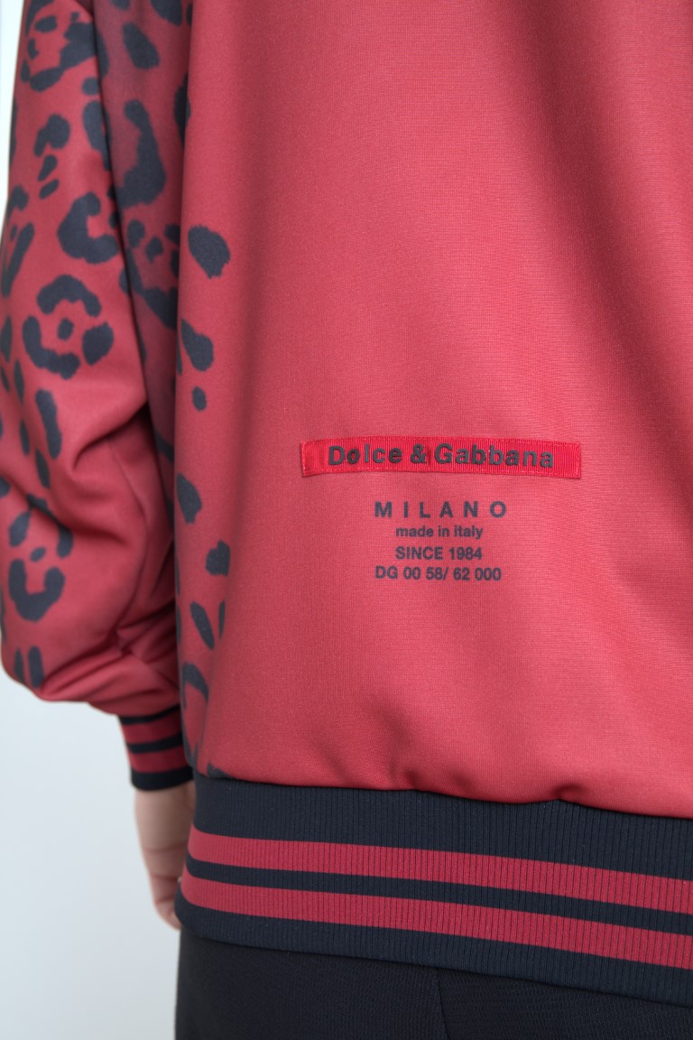 4317861.jpg