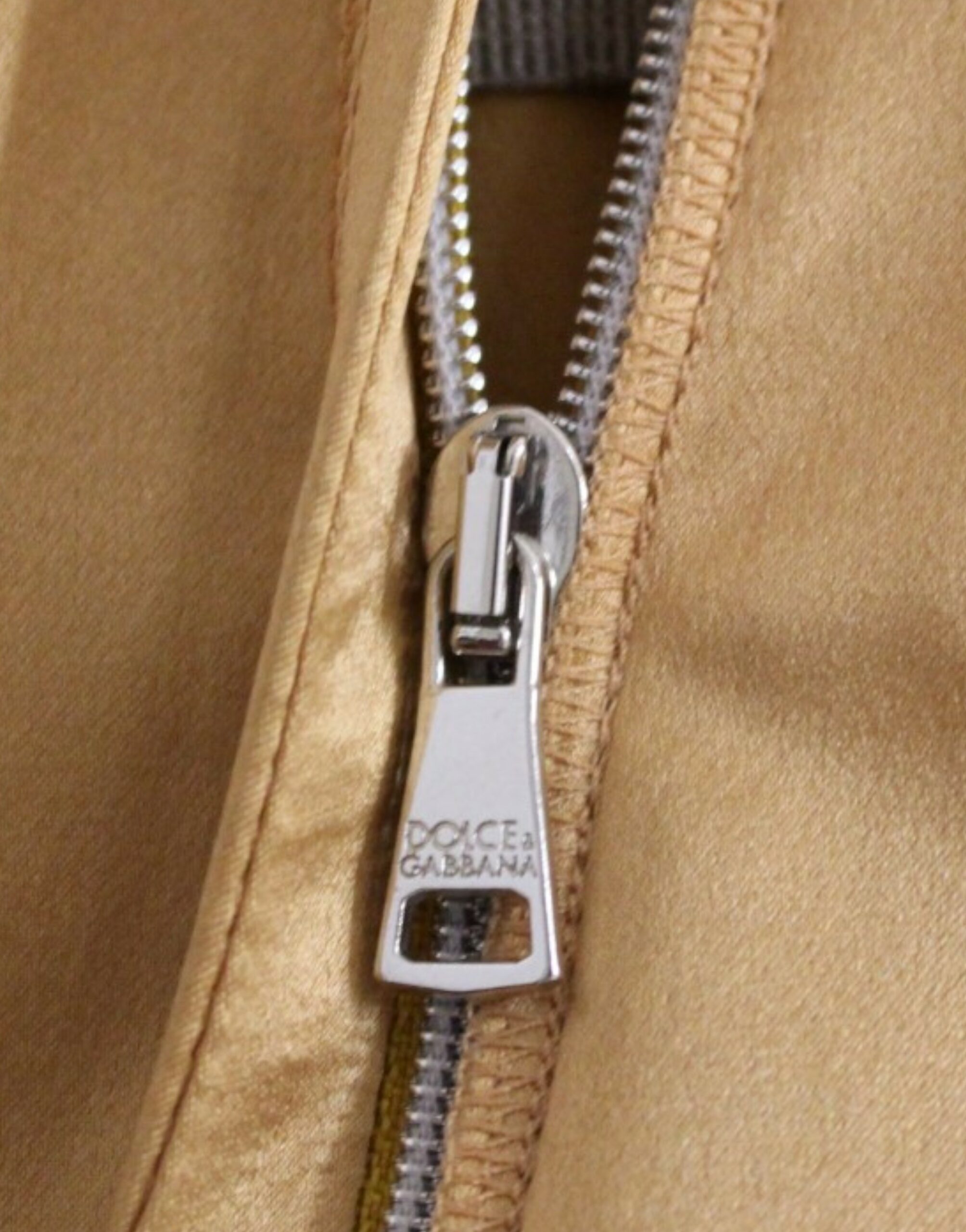 4330196.jpg