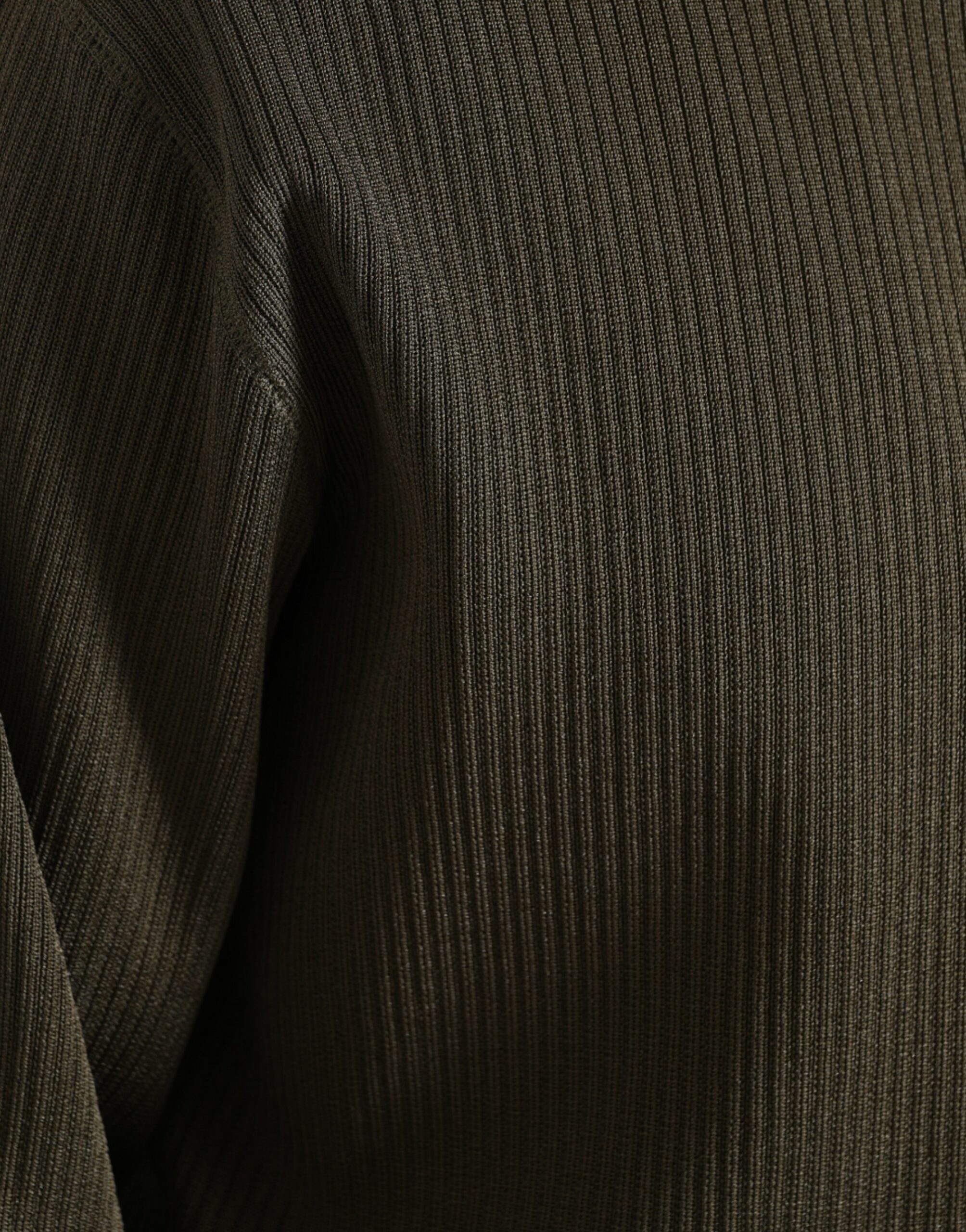 4331478.jpg