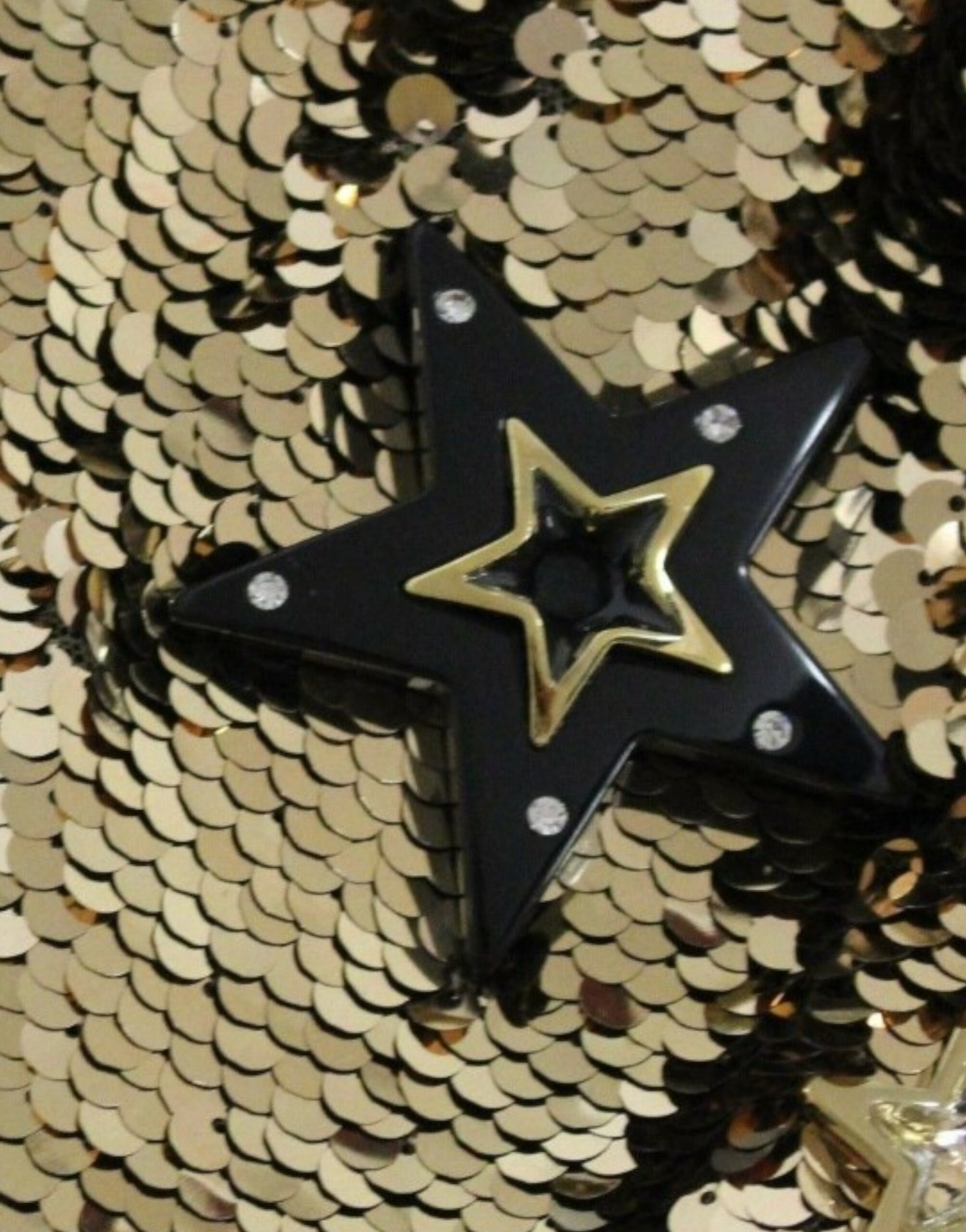 4331556.jpg