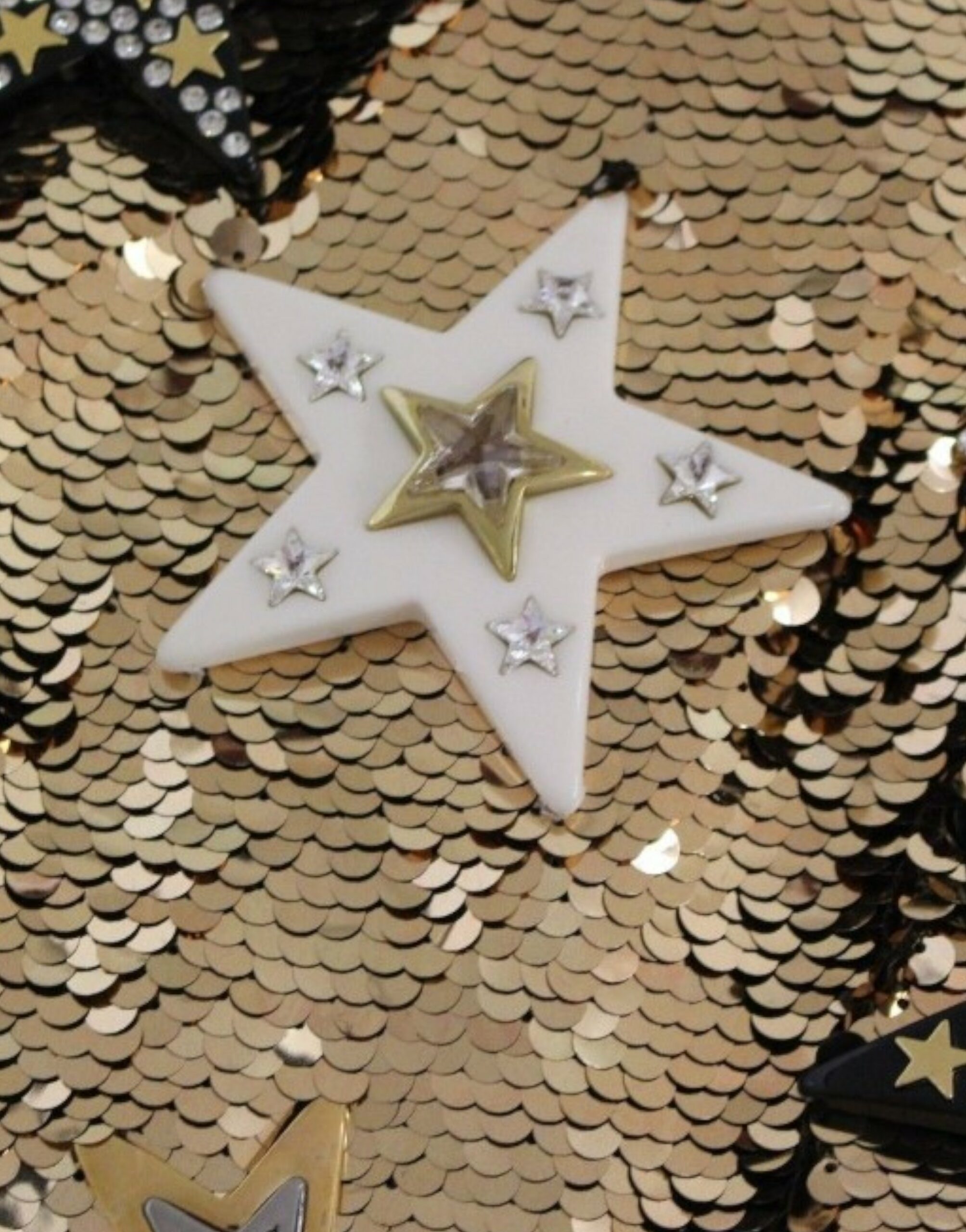 4331557.jpg
