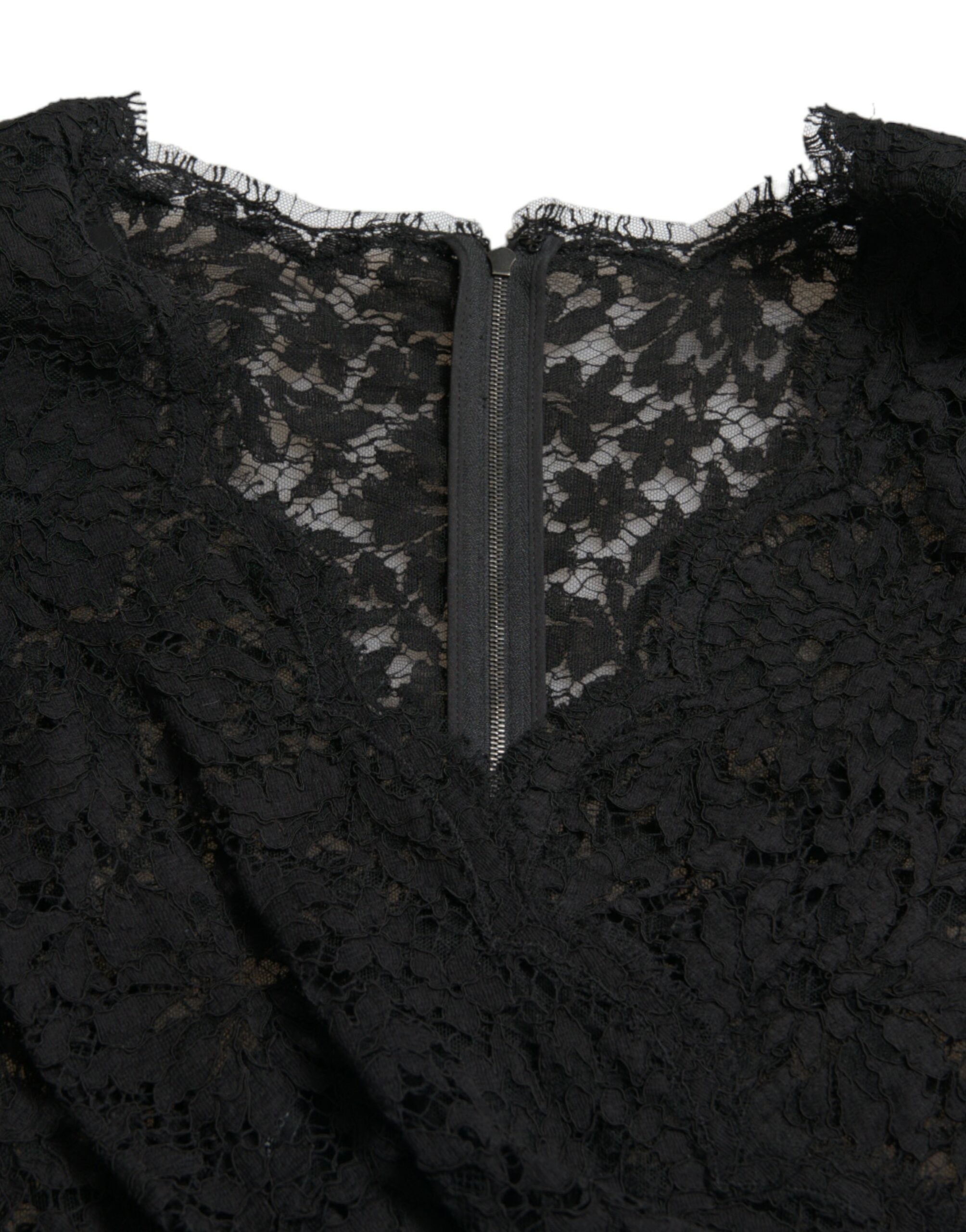4354255.jpg
