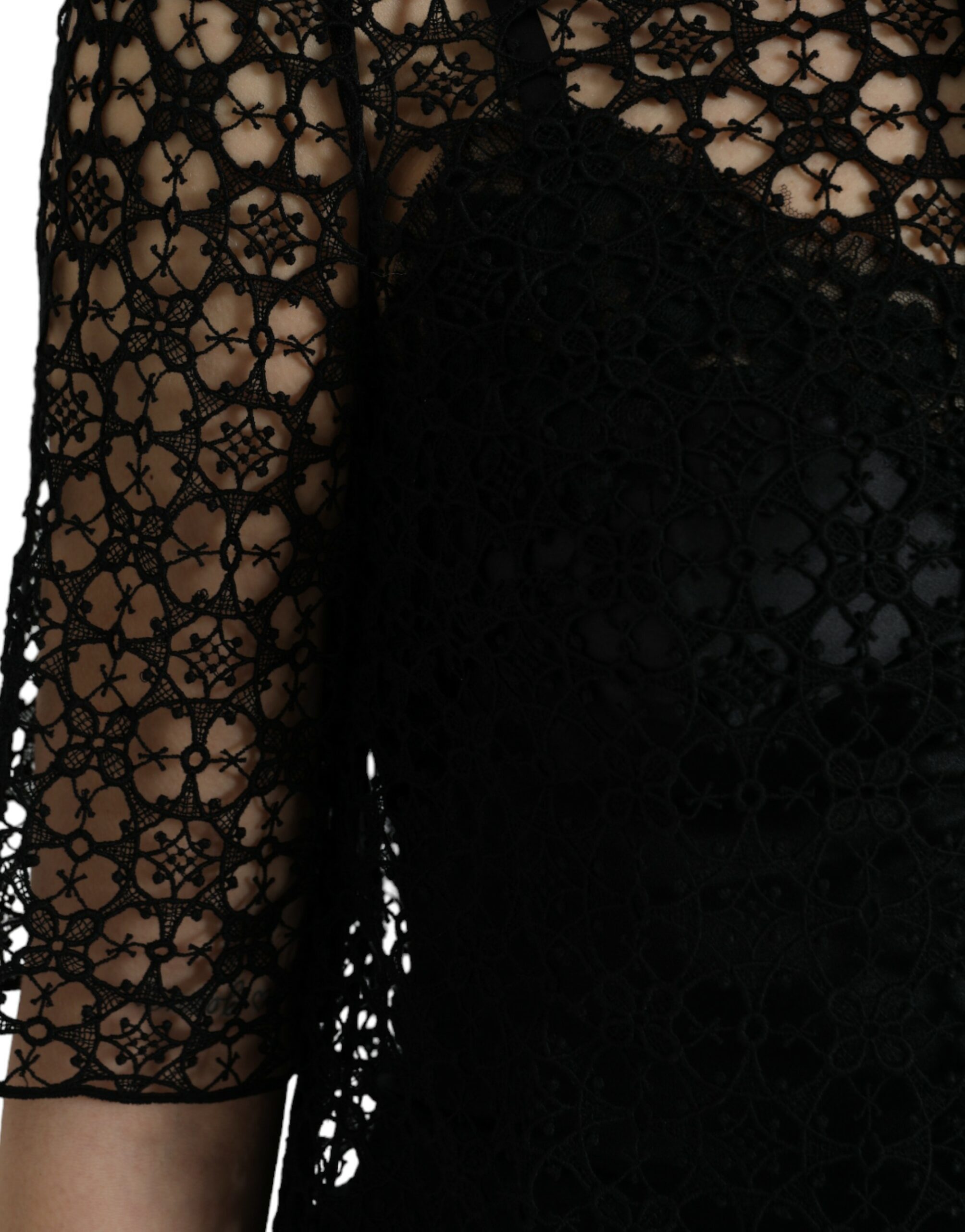 4397466.jpg