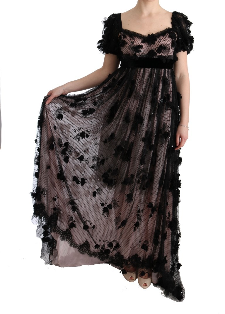 445546.jpg