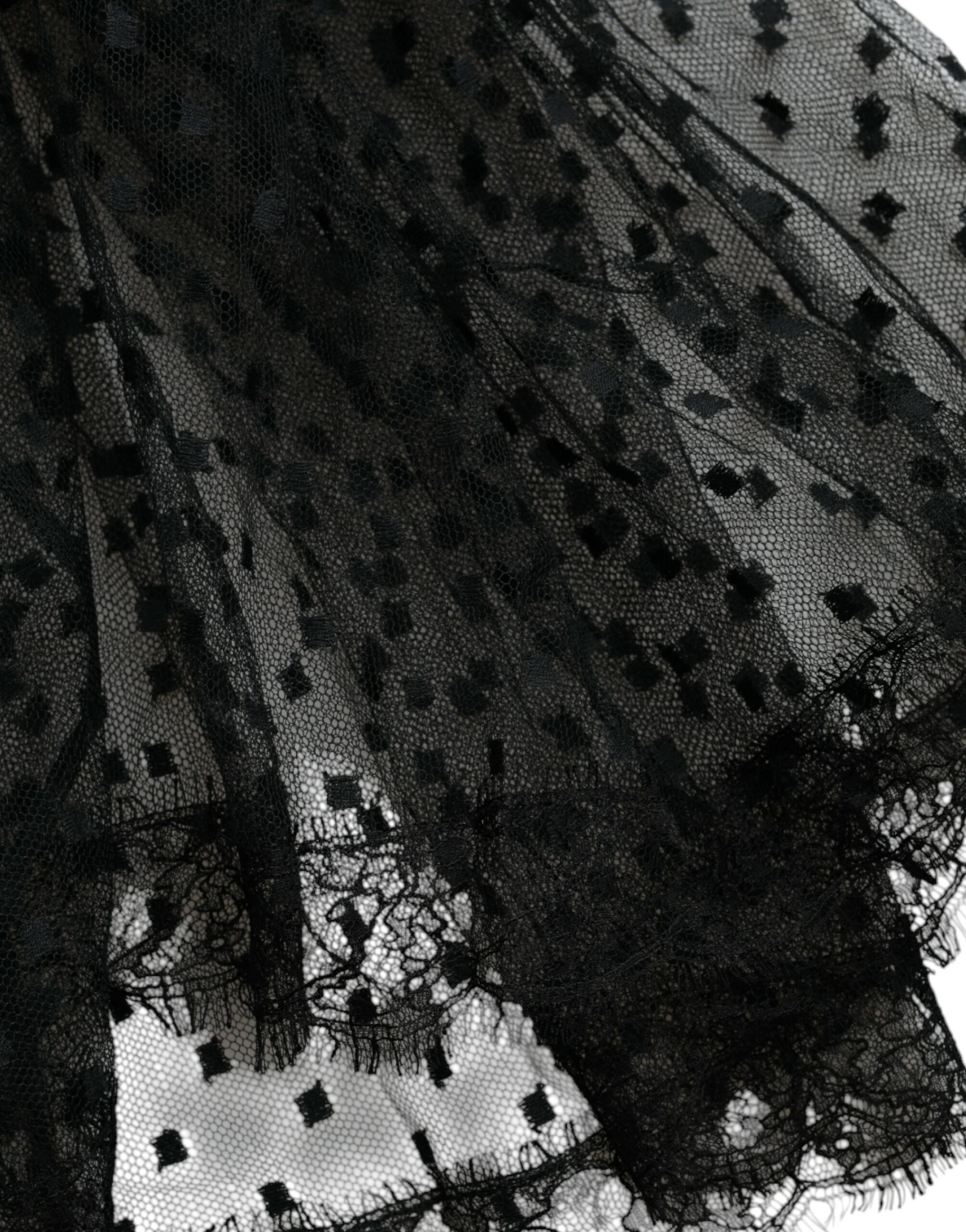 4541619.jpg