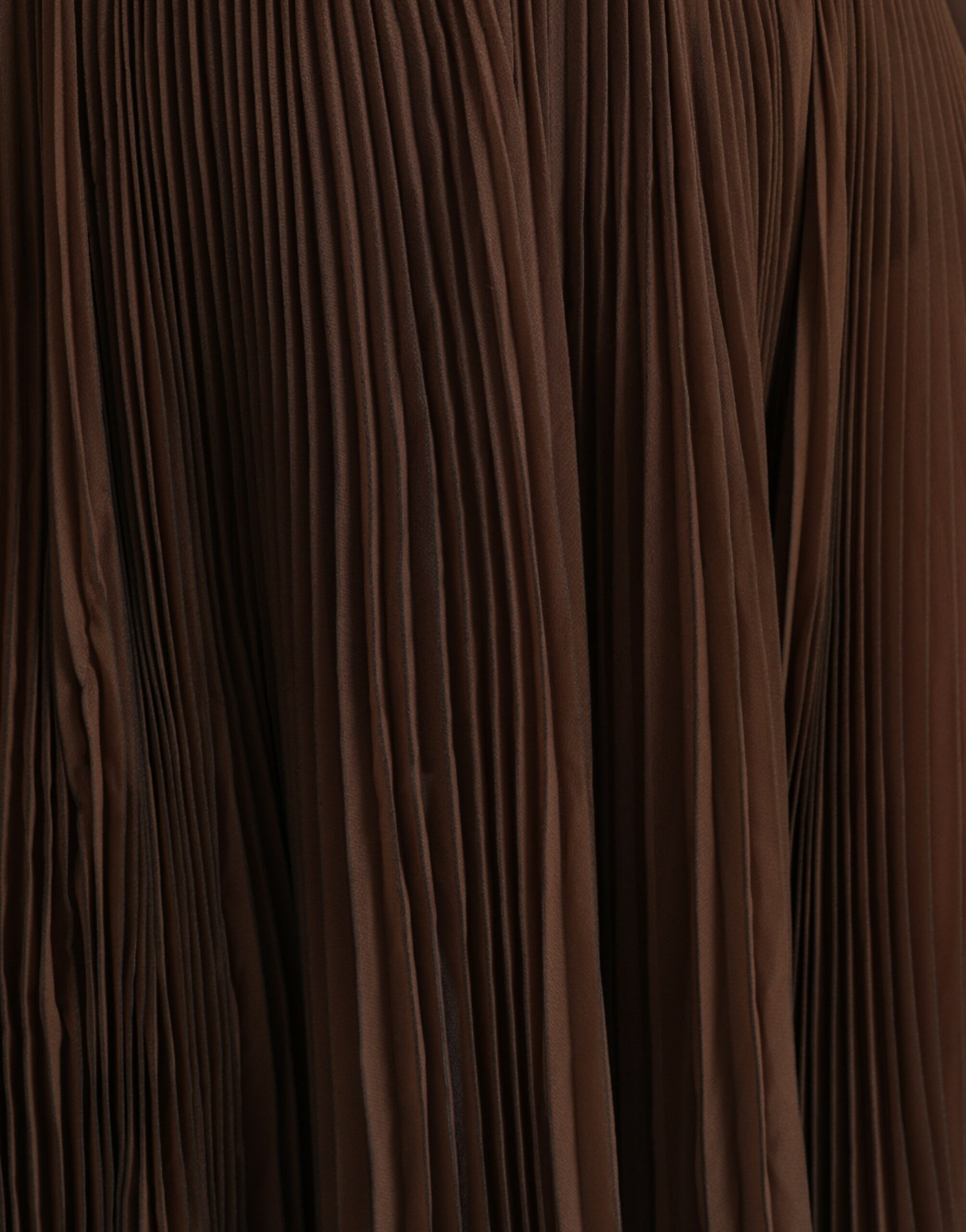 4541625.jpg
