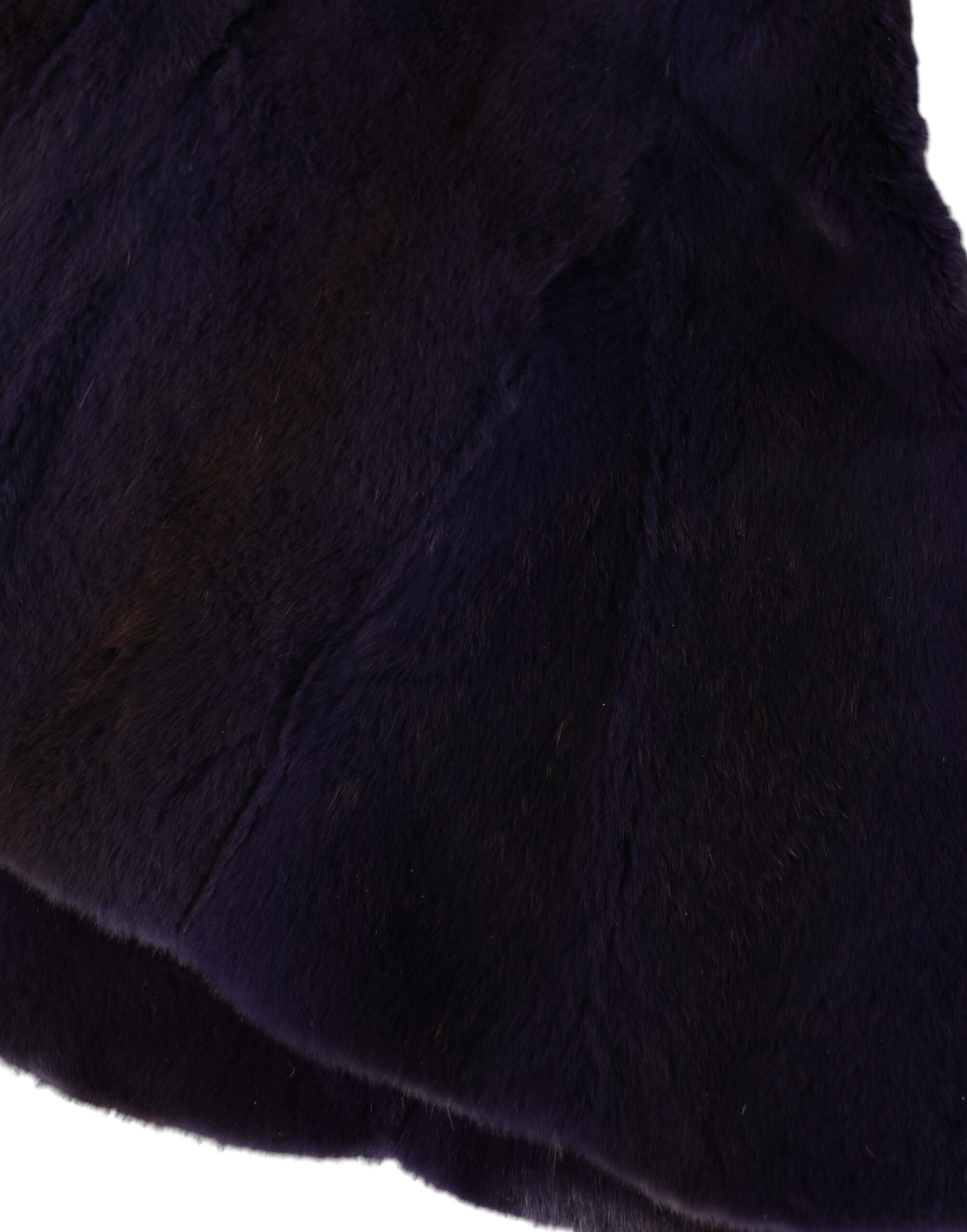 4574011.jpg