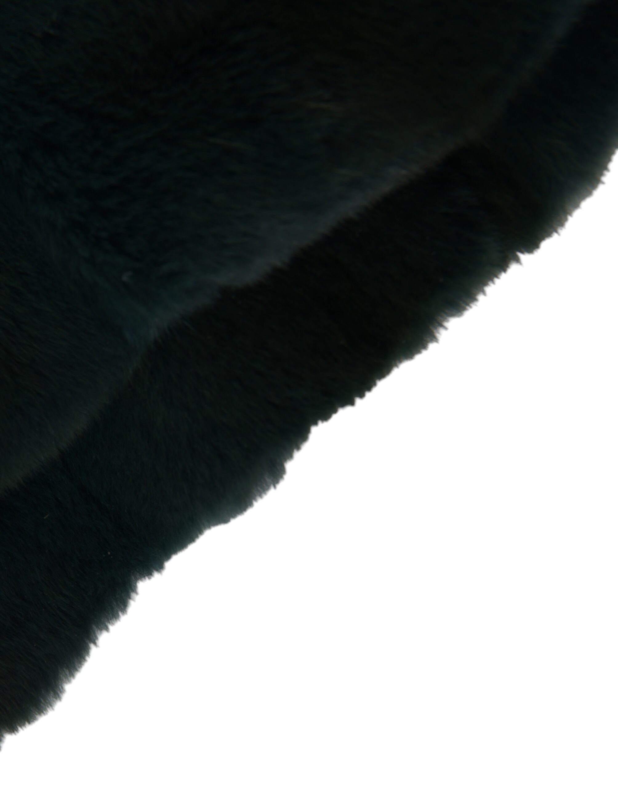 4574020.jpg