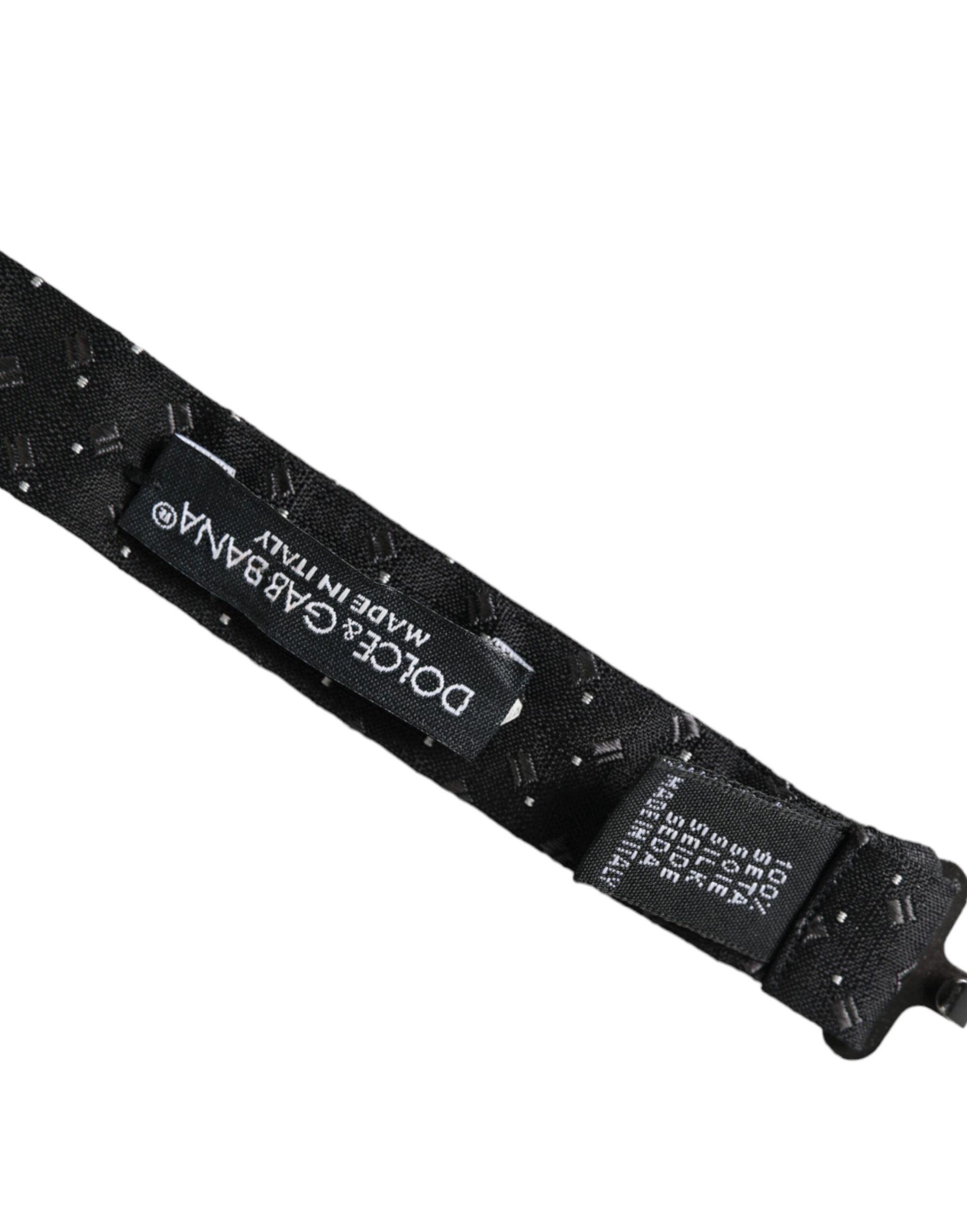 4610081.jpg